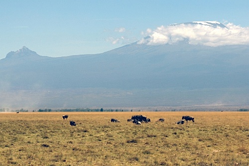 Kenia (202)